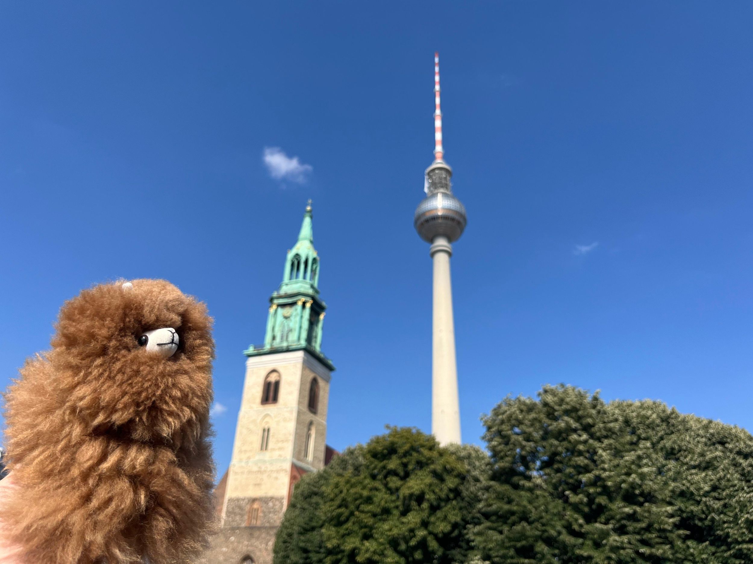 Private Potsdam Highlights: Halbtagestour mit Guide Erlebnis