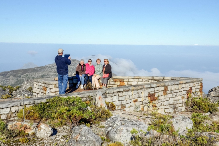 Kapstadt: Halbtagestour mit Tafelberg und StadtrundgangTour auf Englisch