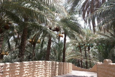 Al Ain-dagtour vanuit DubaiAl Ain-dagtour