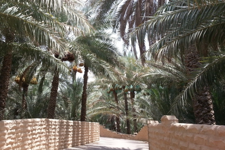 Al Ain Całodniowa wycieczka z DubajuAl Ain Całodniowa wycieczka