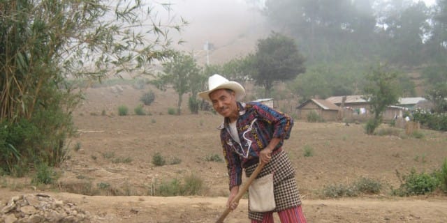 Lower Mayan Trail : Randonnée de 4 heures de San Marcos à Santa Cruz