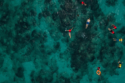 Bali/Nusa Dua: snorkeling, giro in barca con fondo trasparente e centro tartarugheTour per piccoli gruppi con trasferimento (Nusa Dua)