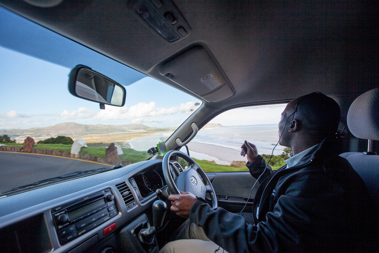 Kaapstad: Kaap Punt en Pinguïnkolonie Dagvullende tour