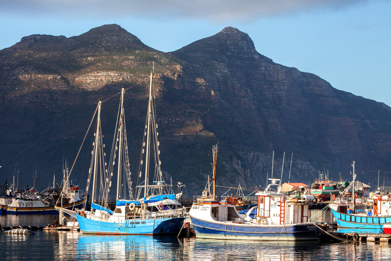 Kaapstad: Kaap Punt en Pinguïnkolonie Dagvullende tour
