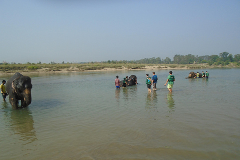 Luxury Chitwan Jungle Safari Package (2Nights/3Days)