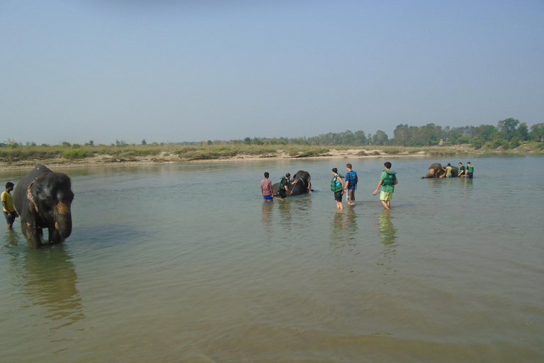 Luxury Chitwan Jungle Safari Package (2Nights/3Days)