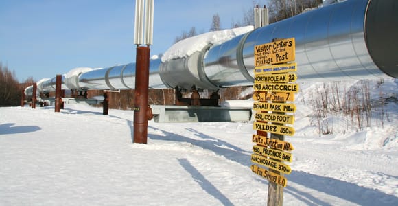 Fairbanks: Winter City Tour