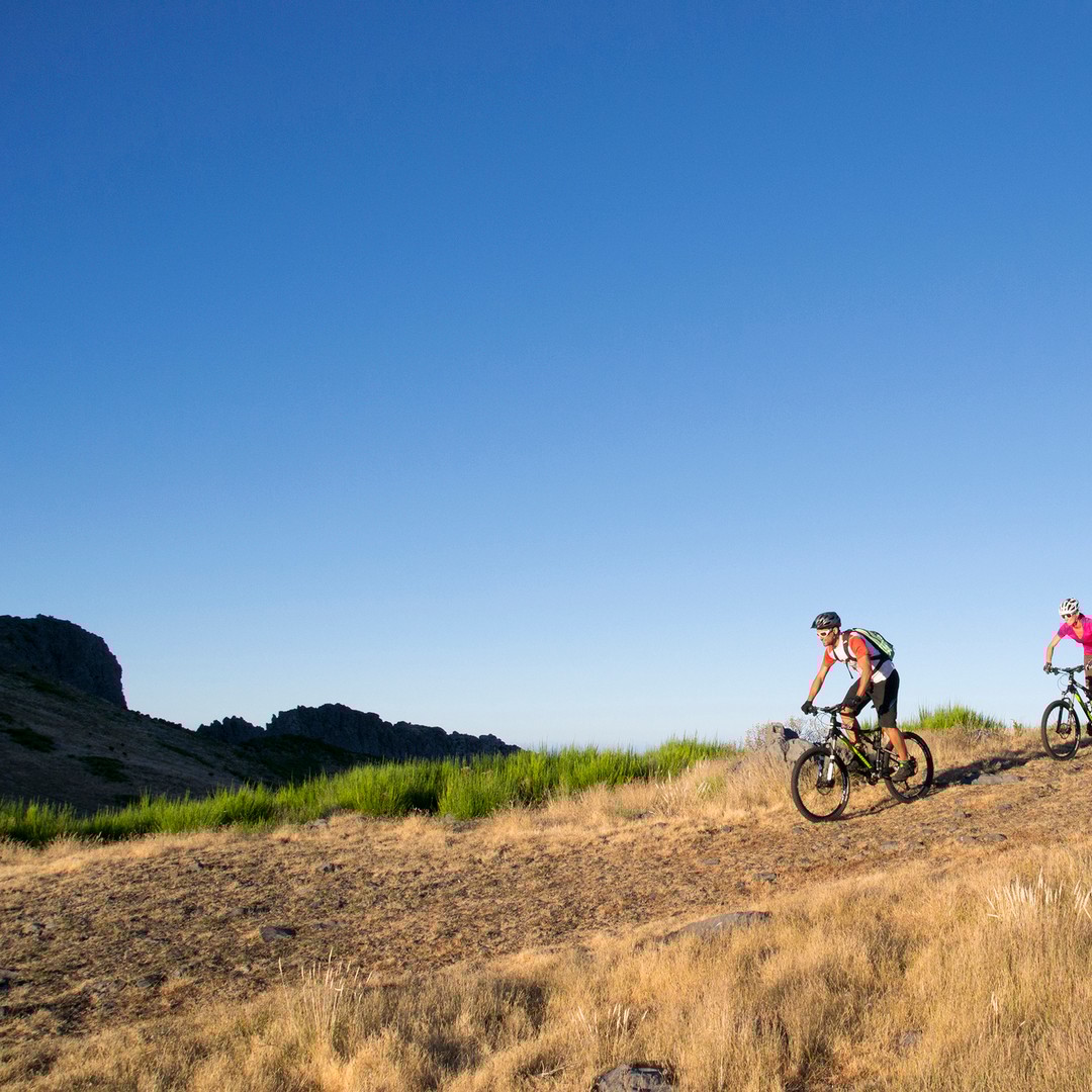 PASSEIO DE BICICLETA PATAMARES BOTÂNICOS DA MADEIRA, EXPERIÊNCIA DE TRAIL - Main Image