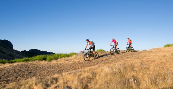 Botanische Fahrradtour auf Madeira – ein Erlebnis auf malerischen Wegen