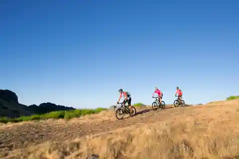 TOUR EN BICICLETA - NIVELES BOTÁNICOS DE MADEIRA, EXPERIENCIA TRAIL