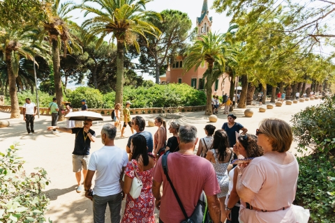 Barcelona: Guided Tour and Park Güell Skip-the-Line Ticket Guided Tour Park Güell - French