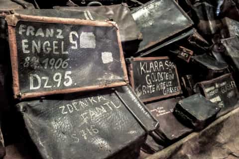 Krakow: Auschwitz-Birkenau Guided Tour Pickup/Lunch Options