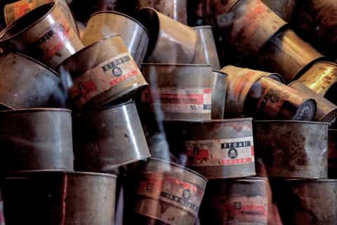 Krakow: Auschwitz-Birkenau Guided Tour Pickup/Lunch Options
