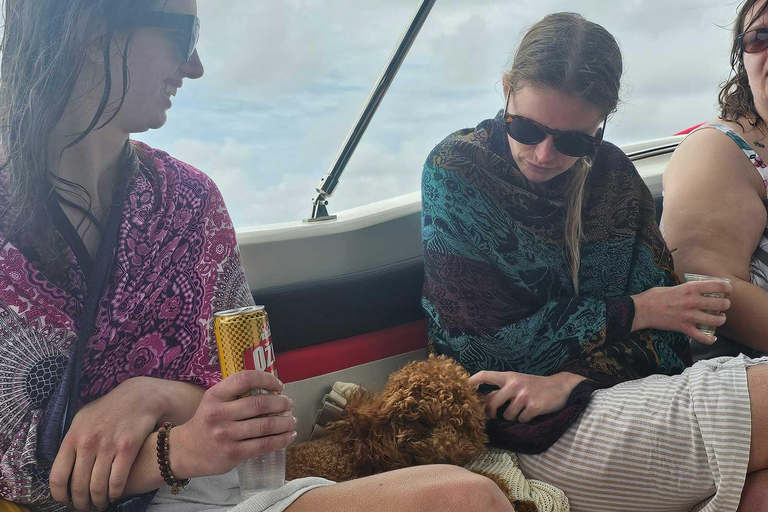 Dubrovnik & Cavtat: Blue Cave and Elaphiti Islands Boat Tour From Srebreno