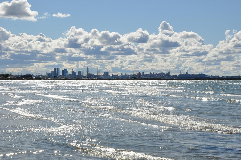 Individual excursion in Tallinn