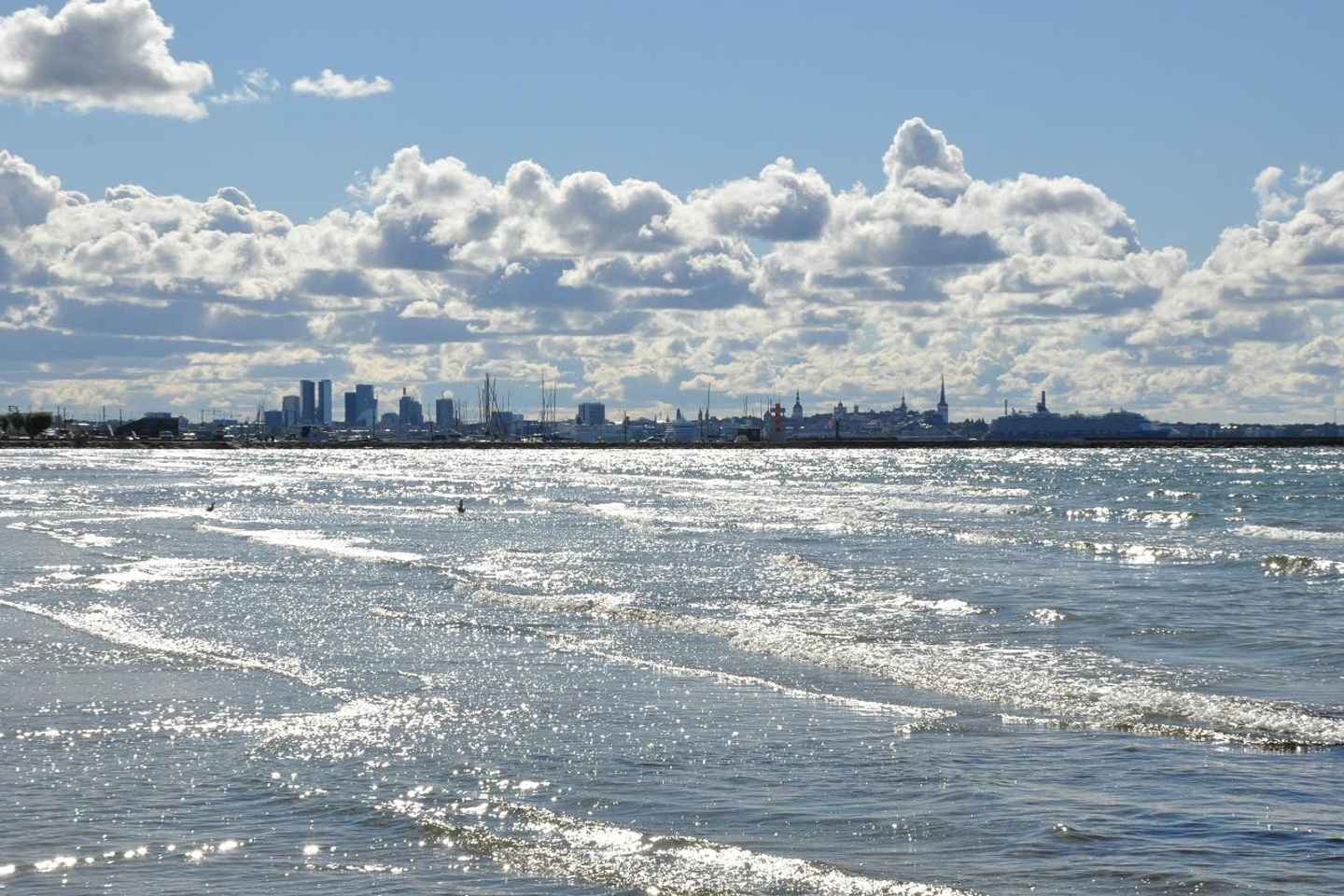 Individual excursion in Tallinn