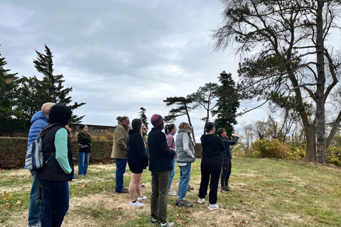 Day Trip from Boston: Guided Nature Walk at Crane Estate