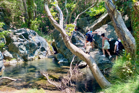 Crète : Randonnée guidée aux chutes d'eau de Richtis