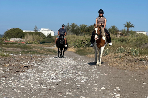 Rhodes: Unforgettable Horseback Riding Adventure Morning horse riding in the countryside of Kremasti.