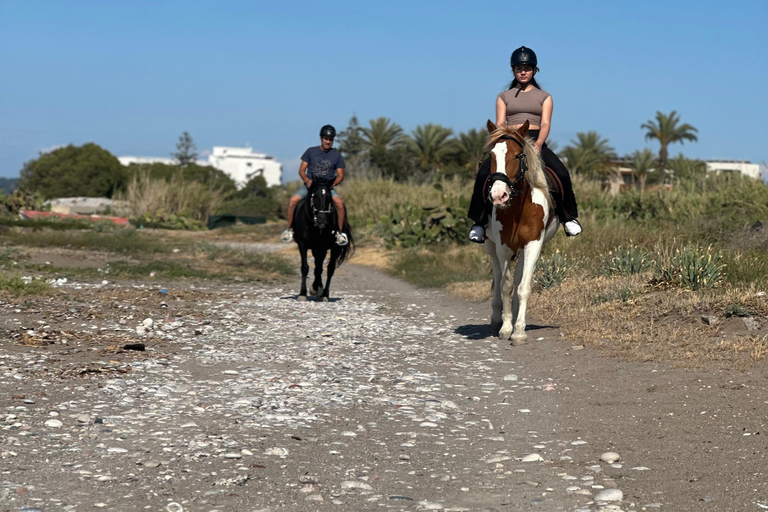 Rhodos: Ridresa på hästryggen med digitala fotonCountryside morgonridning på hästryggen Trip