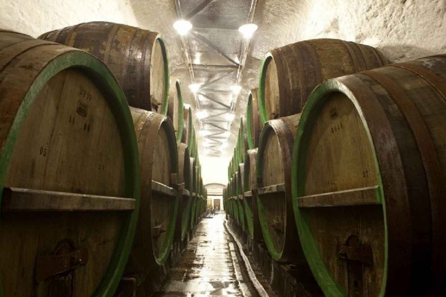 Pilsner Brewery & Nizbor Glass Factory Combination Tour