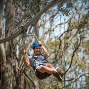 Ourimbah: Central Coast Zipcoaster