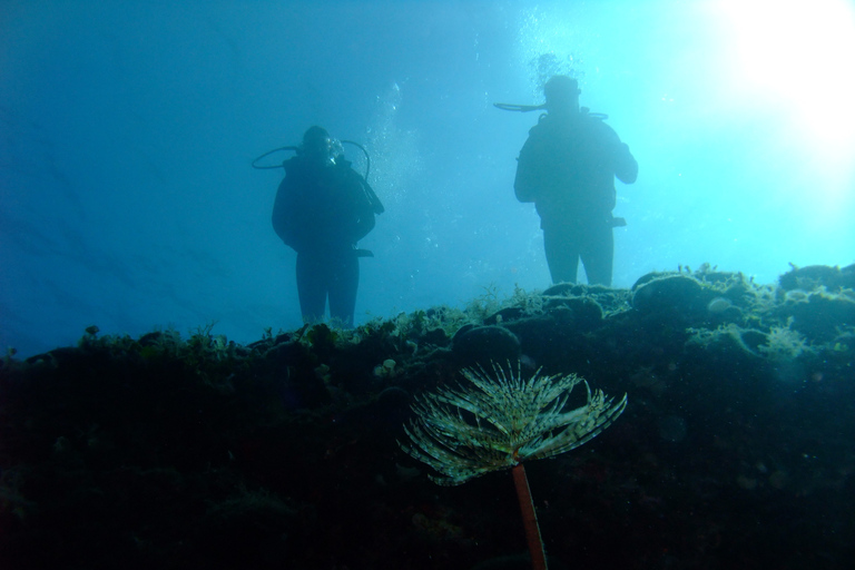 Dubrovnik: Paquete de buceo de 1 día