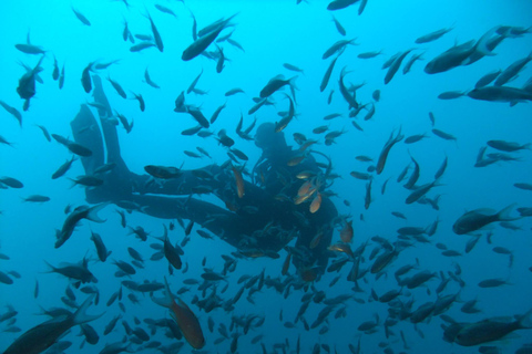 Dubrovnik: Paquete de buceo de 1 día