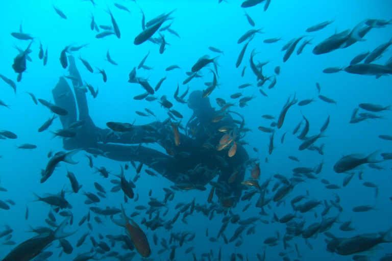 Dubrovnik: Paquete de buceo de 1 día