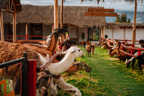 From Cusco: Sacred Valley Tour Pisac, Moray & Ollantaytambo