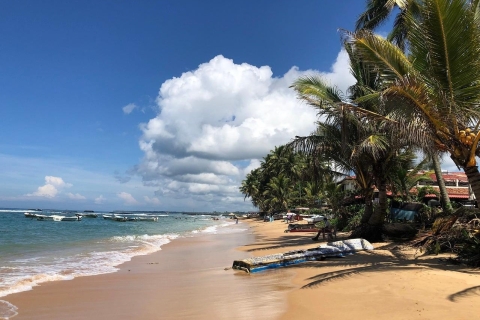 Depuis l'ouest du Sri Lanka : Excursion d'une journée sur la côte sud avec transfertsVisite à la journée de la côte sud du Sri Lanka avec loisirs