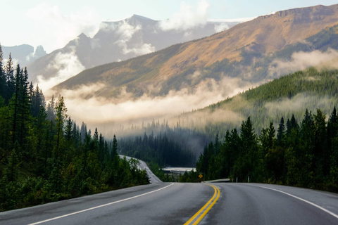 Z Calgary/Banff/Canmore: 1-dniowa wycieczka w Góry Skaliste z polem lodowym