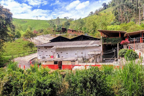 MEDELLIN: DAWN GARDEN TOUR WITH VISIT TO BETANIA - 2 DAYS AND 1 NIGHT