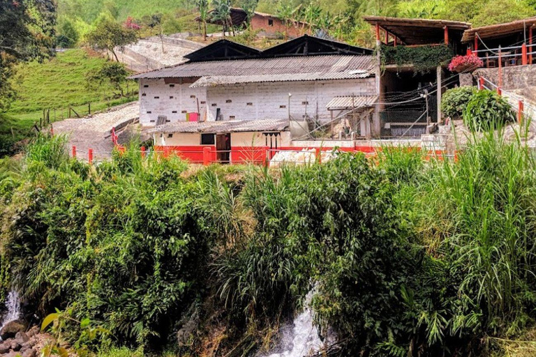 MEDELLIN: DAWN GARDEN TOUR WITH VISIT TO BETANIA - 2 DAYS AND 1 NIGHT