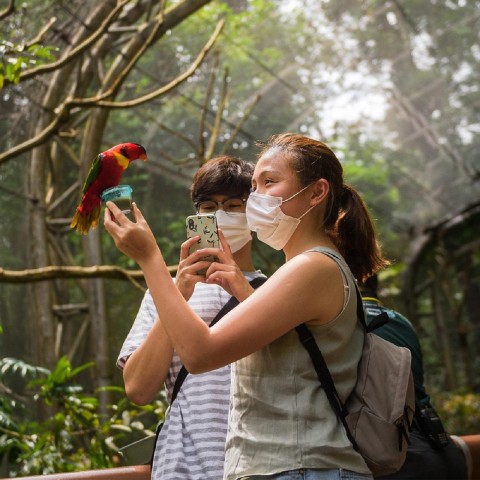 Visit Singapore Bird Paradise Entry Ticket in Senai