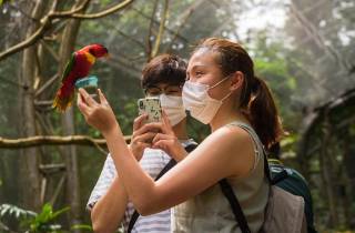 Singapur: Ticket für das Vogelparadies