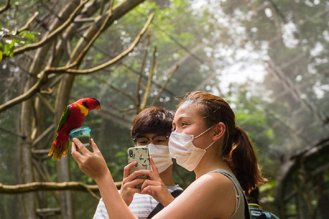 Cingapura: ingresso para o Bird ParadiseAdmissão padrão para locais