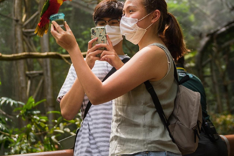 Singapur: bilet wstępu do Ptasiego RajuStandardowy wstęp dla turystów