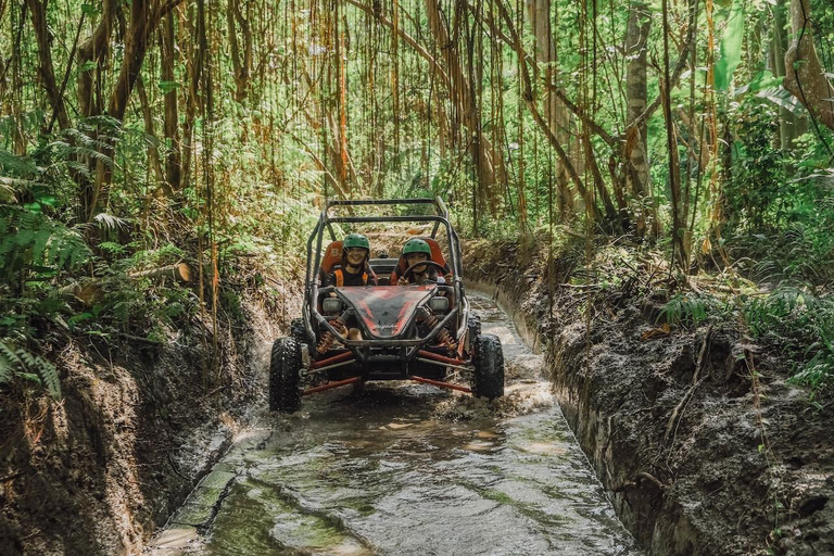 Ubud: 5-Terrain Buggy Adventure with Cave, River & Lunch Single Buggy: 1 Person per Buggy