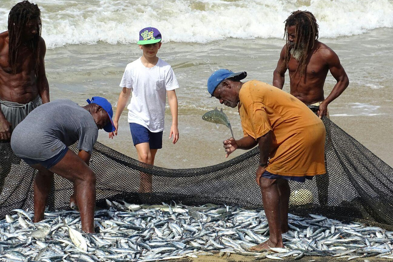 Design your individual Tobago excursion