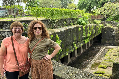 Visite des grottes de Kanheri et safari au lion et au tigre