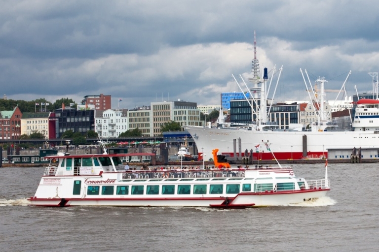 Hamburgo: crucero de 1 hora por el puertoCrucero de 1 hora con comentarios en alemán