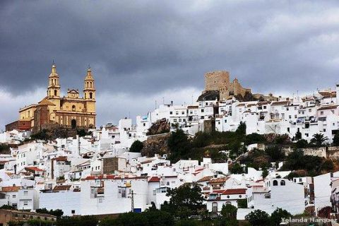 The Villages of Andalusia: Full-Day Trip from Seville