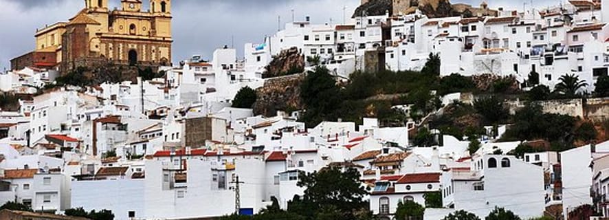 Andalusian Villages Exploration: Full-Day Trip from Seville