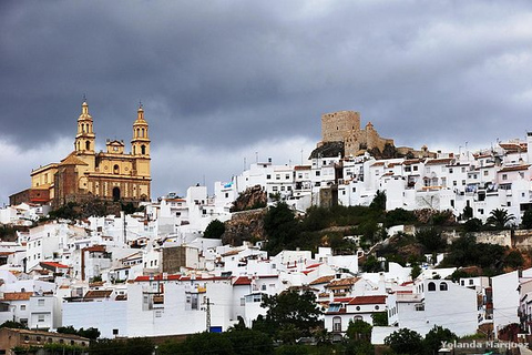 Die Dörfer Andalusiens: Tagestour ab Sevilla