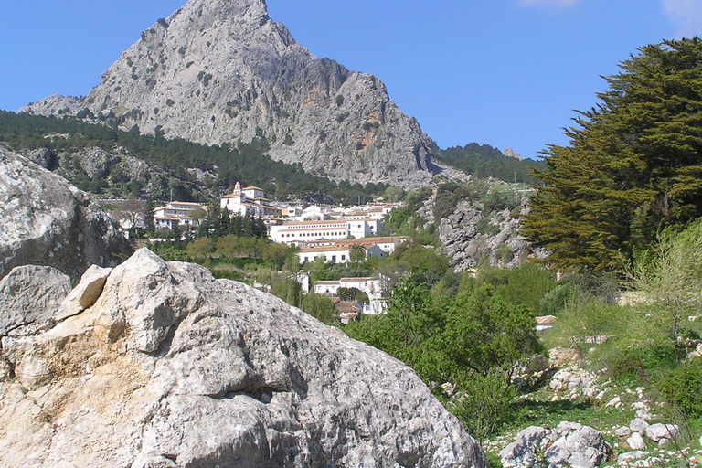 Depuis Séville : journée aux villages blancs d’Andalousie