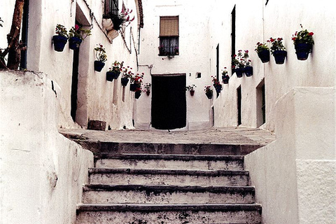 Depuis Séville : journée aux villages blancs d’Andalousie