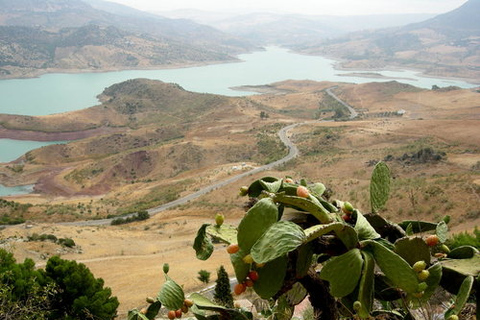 Depuis Séville : journée aux villages blancs d’Andalousie