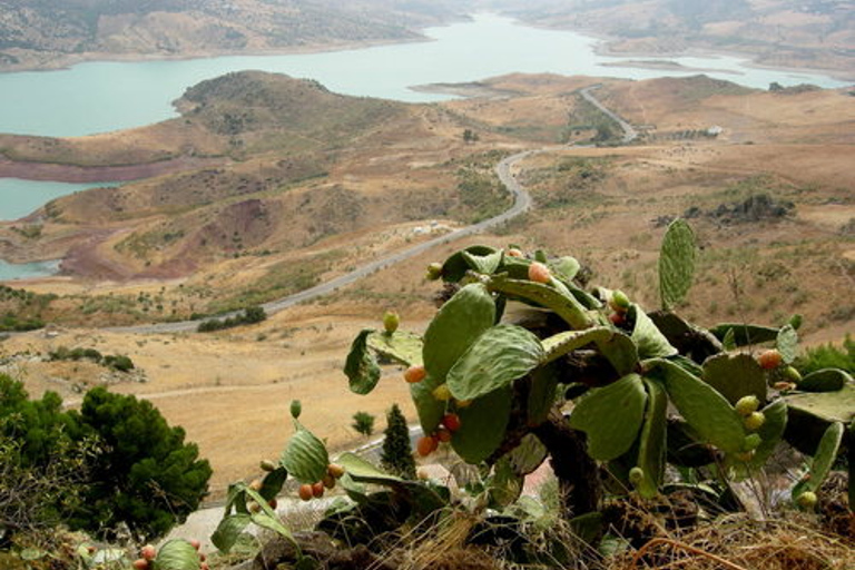 The Villages of Andalusia: Full-Day Trip from Seville