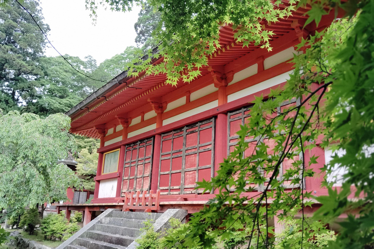 Nara: Explore Tanzan Shrine’s Pagoda and Sacred History